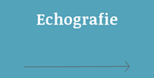 Echografie